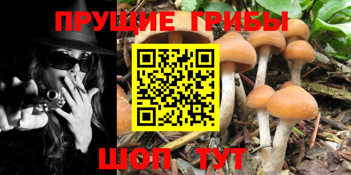 Галлюциногенные грибы мухоморы Карпинск