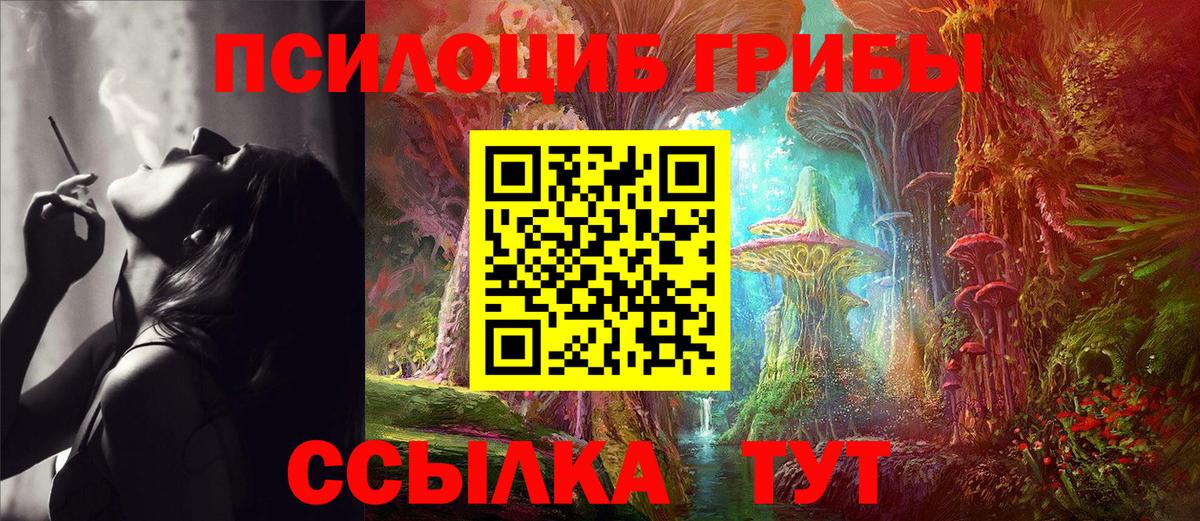 Псилоцибиновые грибы мицелий  Вход с VPN  Карпинск 
